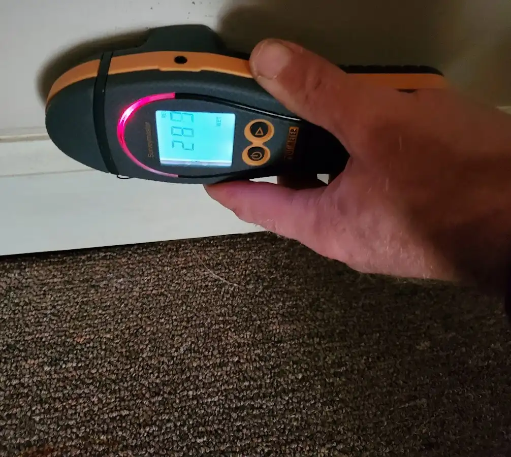 Moisture detection at baseboard during Burst Pipe Cleanup in Walterboro